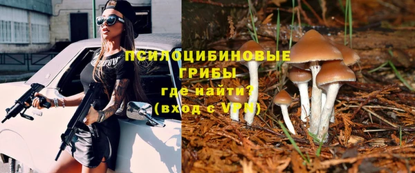 тгк Коряжма
