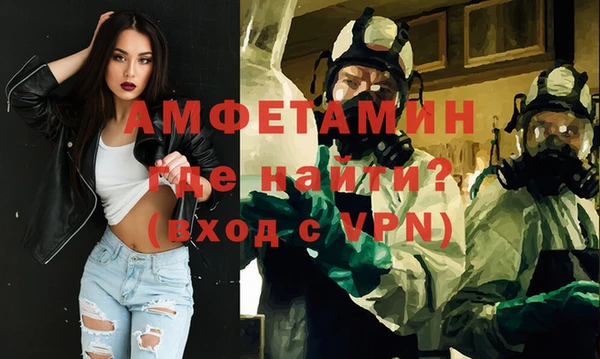 твердый Краснослободск