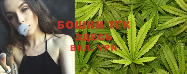 тгк Коряжма