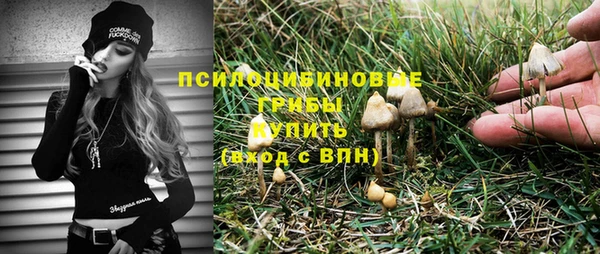 тгк Коряжма